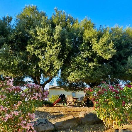 B&B Su Donnigheddu Rudalza Bagian luar foto