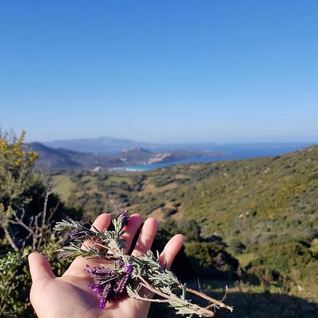 B&B Su Donnigheddu Rudalza Bagian luar foto