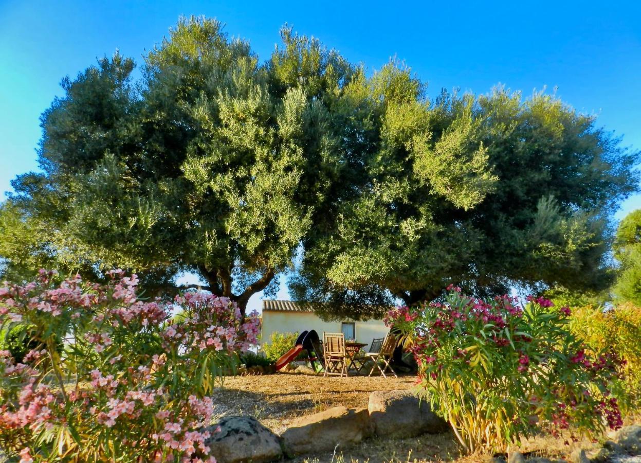 B&B Su Donnigheddu Rudalza Bagian luar foto