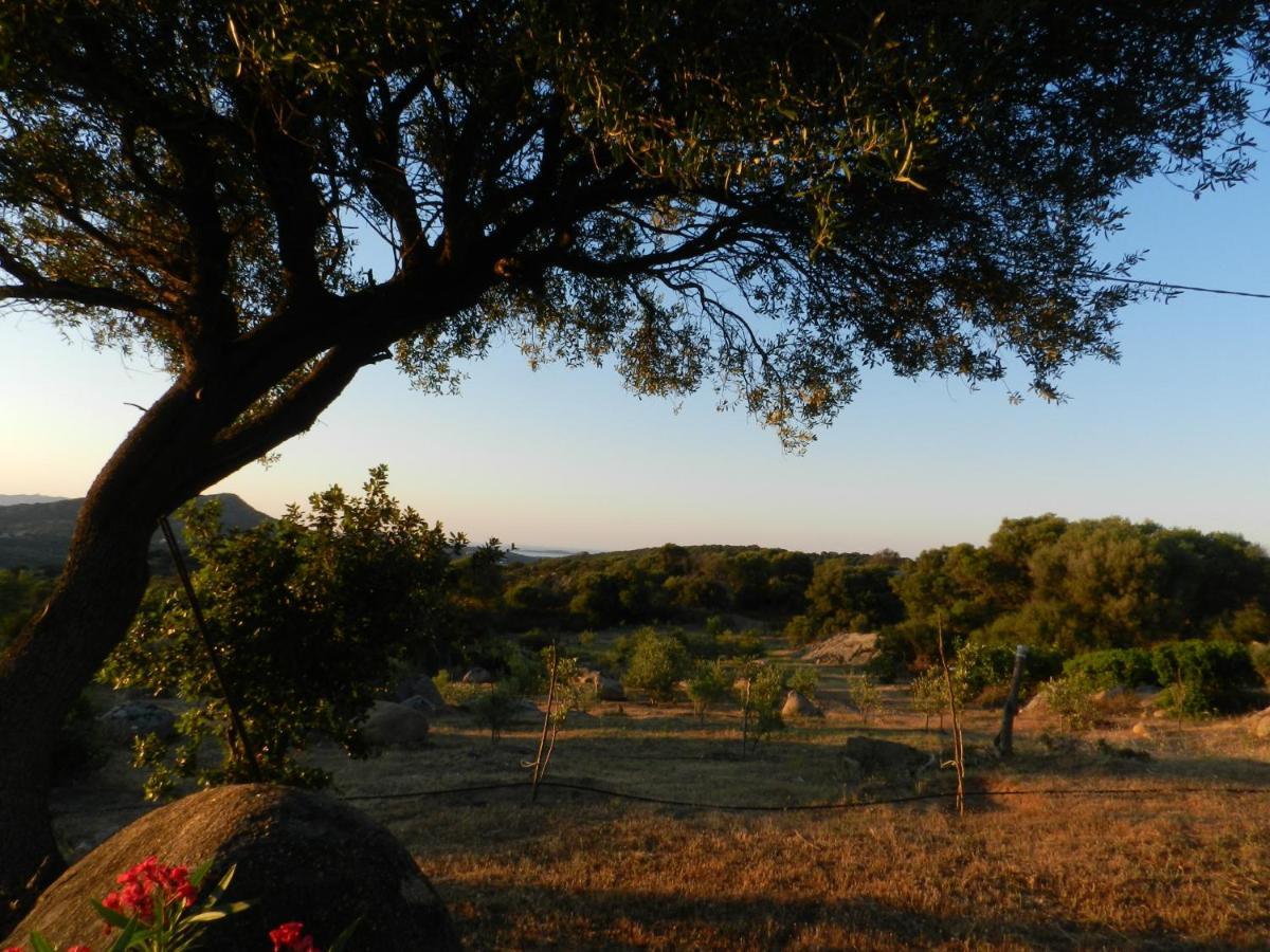B&B Su Donnigheddu Rudalza Bagian luar foto
