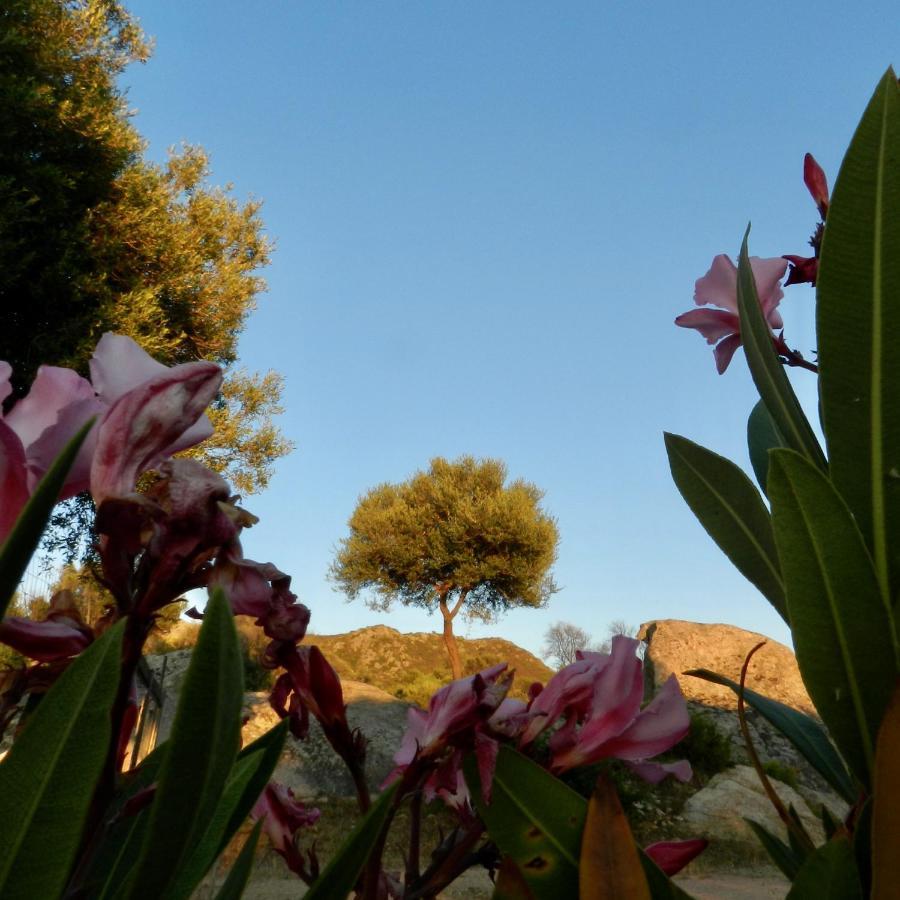 B&B Su Donnigheddu Rudalza Bagian luar foto
