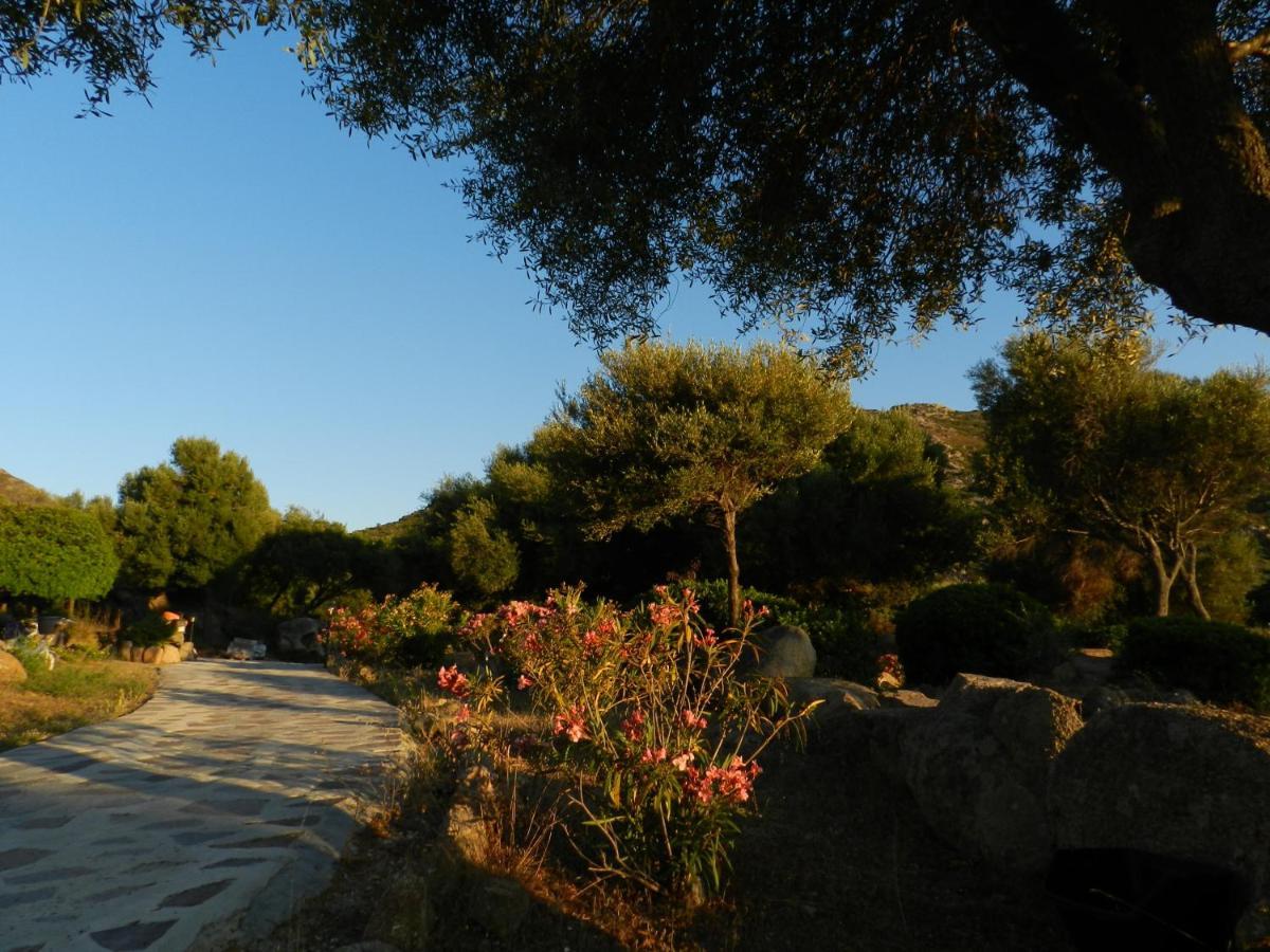 B&B Su Donnigheddu Rudalza Bagian luar foto