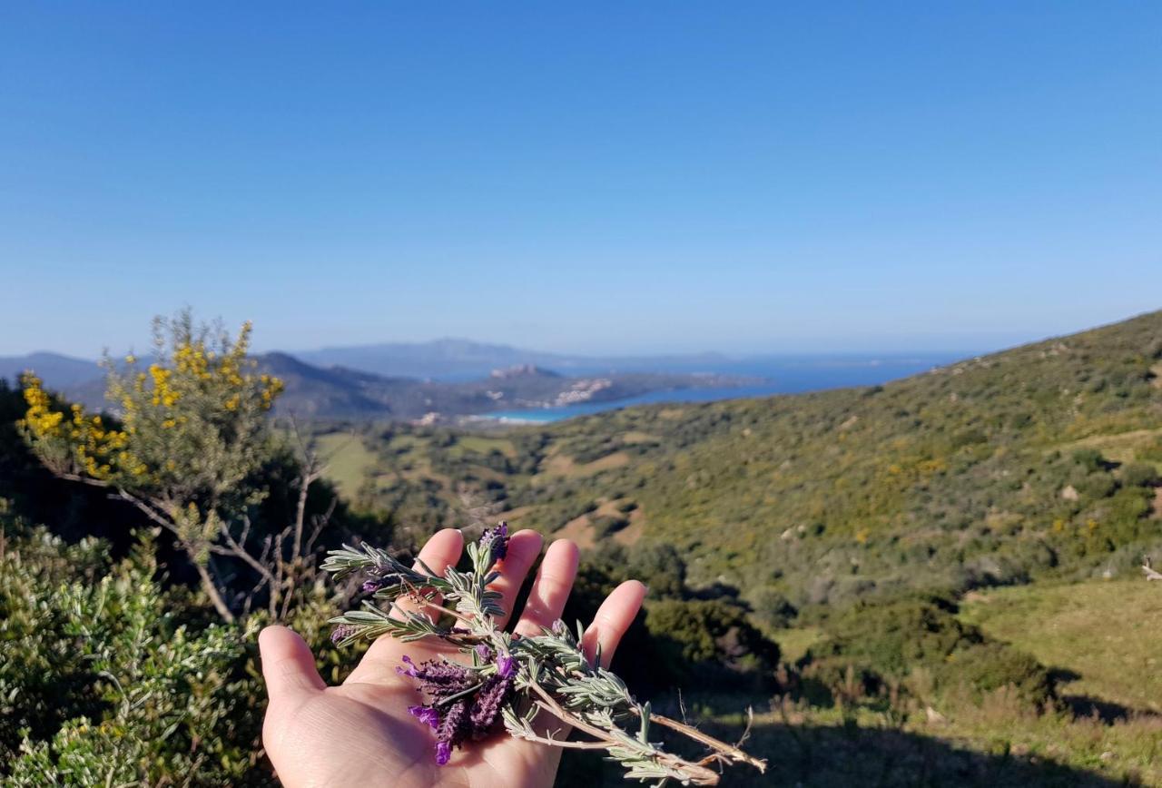 B&B Su Donnigheddu Rudalza Bagian luar foto