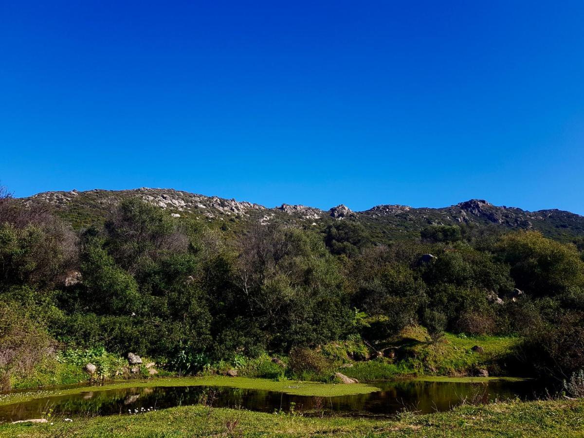 B&B Su Donnigheddu Rudalza Bagian luar foto