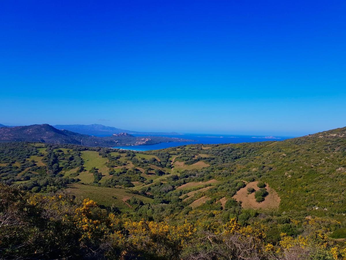 B&B Su Donnigheddu Rudalza Bagian luar foto