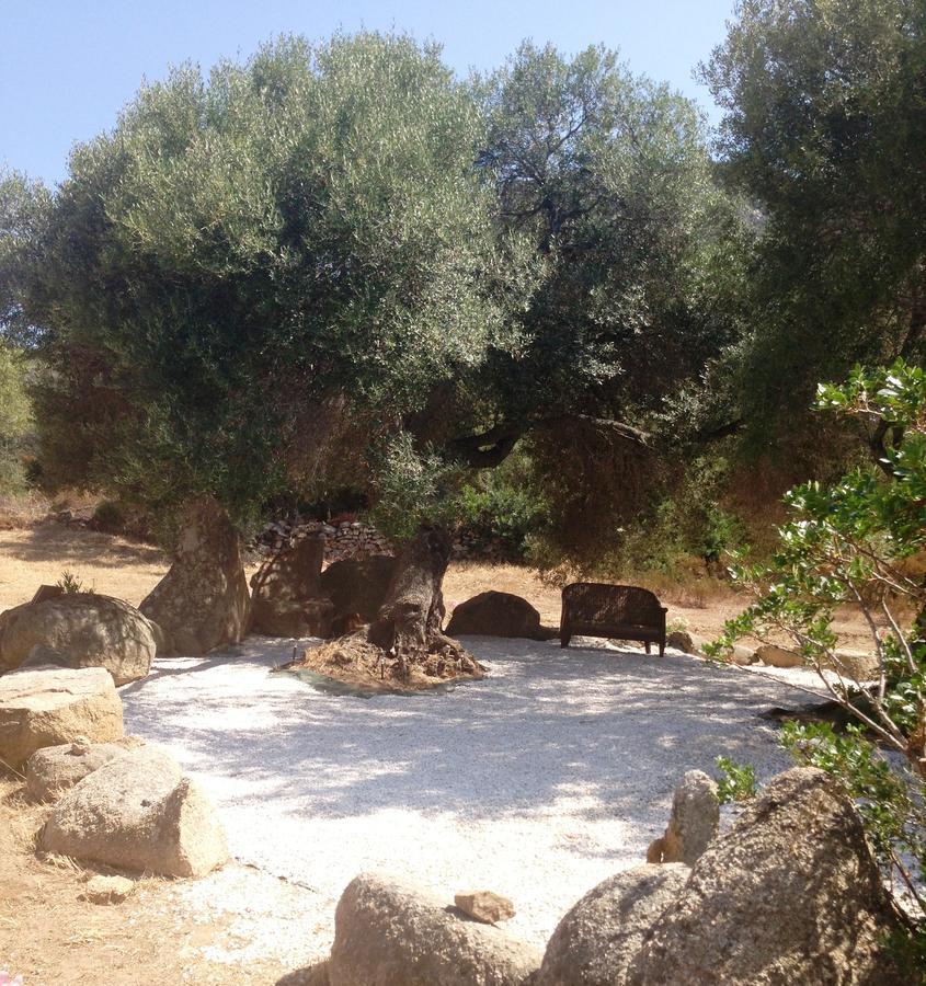 B&B Su Donnigheddu Rudalza Bagian luar foto
